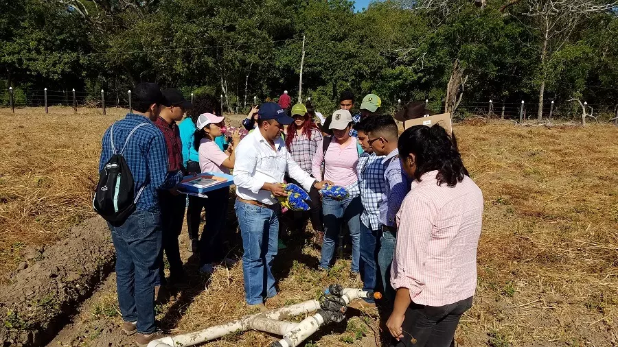 Primer grupo